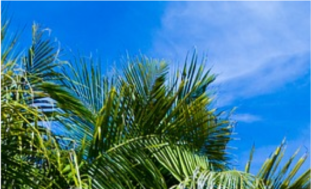 生姜养生 七不姜 明安农业企业 2022年新公众号 视频号 欢迎关注! 生姜养生 七不姜 明安农业企业 2022年新公众号 视频号 欢迎关注!