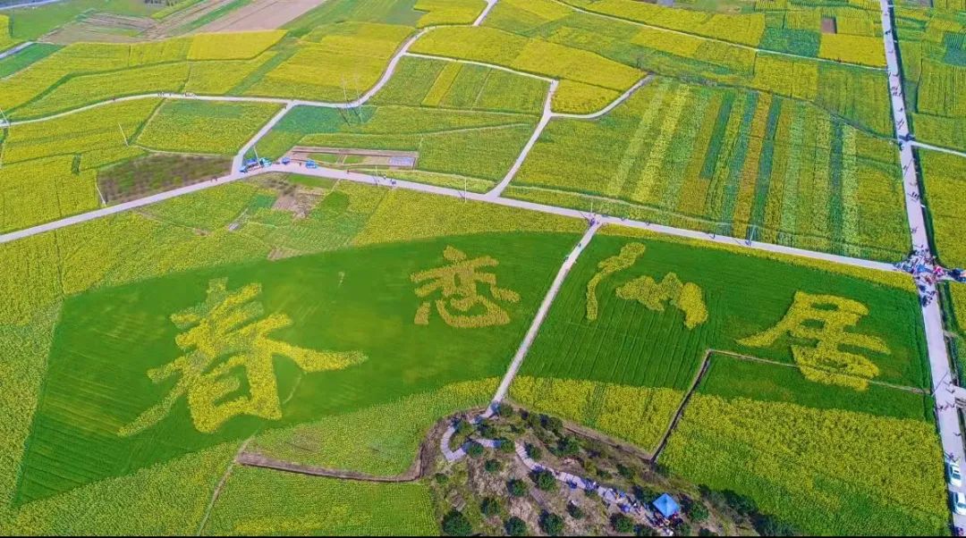 新品积分可兑换世界名品。还有乡土特产 人间仙居 的 菜籽油 茶油 黄豆 黑豆 笋干 地瓜粉 野蜂蜜...