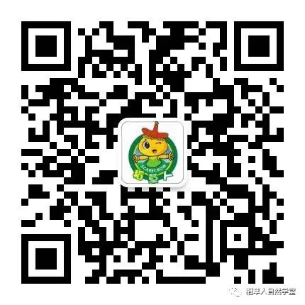 探访清迈Ginger Farm(2018.7.7) 探访清迈Ginger Farm(2018.7.7)