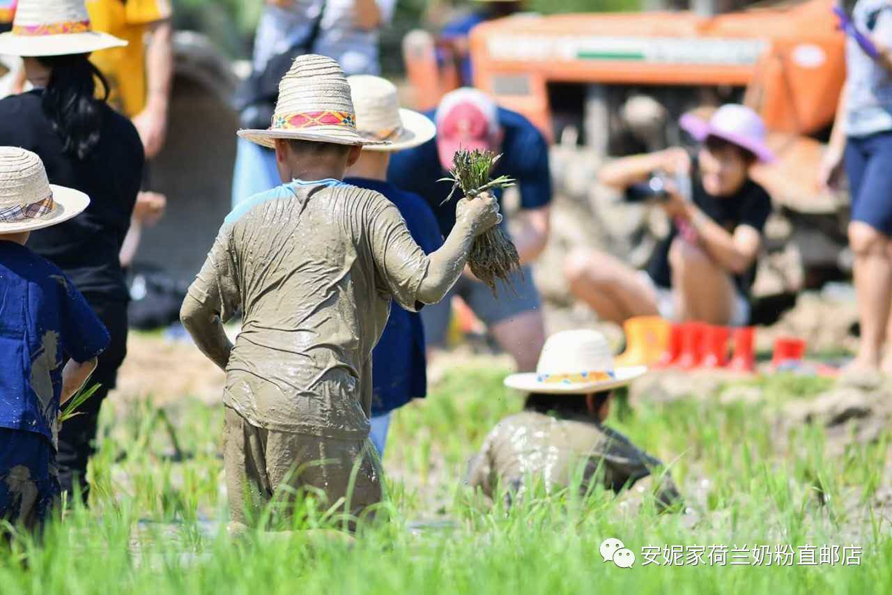 【清迈】GINGER FARM里的泰国农家乐,可以举办生日趴体,10月份假期日托班信息在贴底 【清迈】GINGER FARM里的泰国农家乐,可以举办生日趴体,10月份假期日托班信息在贴底