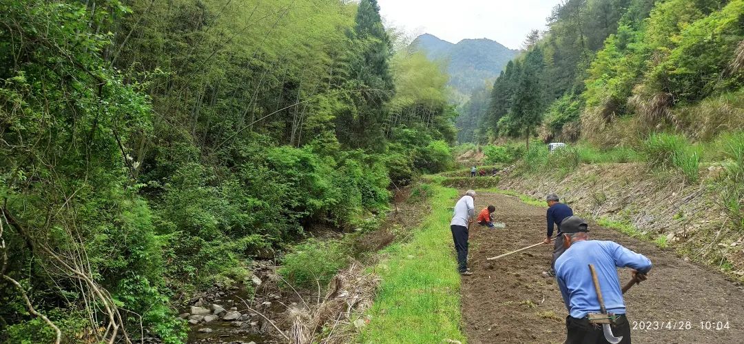 五一节快乐!七不大米3折特惠!不曾下得春时种 空向田头望有秋;欲乘长日劝春耕 努力惜春华:农田 山地 家庭 日本 泰国种姜... 五一节快乐!七不大米3折特惠!不曾下得春时种 空向田头望有秋;欲乘长日劝春耕 努力惜春华:农田 山地 家庭 日本 泰国种姜...