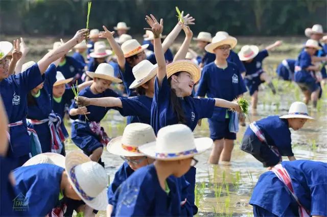 清迈 | 这家开业不久的亲子农庄,太让人动心。 清迈 | 这家开业不久的亲子农庄,太让人动心。