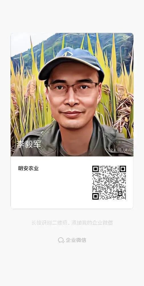 明德CSA生态姜园 - 一个革新的农业未来!尊敬的未来合伙人,诚挚邀请您成为七不姜姜园的股东合伙人.... 明德CSA生态姜园 - 一个革新的农业未来!尊敬的未来合伙人,诚挚邀请您成为七不姜姜园的股东合伙人....