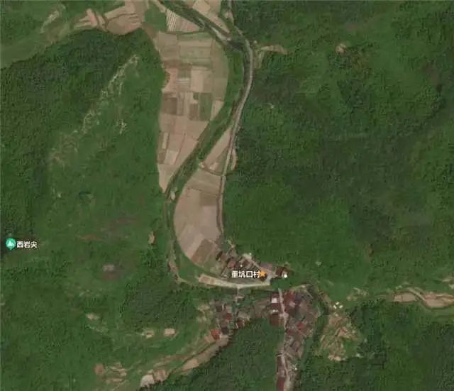 新品积分可兑换世界名品。还有乡土特产 人间仙居 的 菜籽油 茶油 黄豆 黑豆 笋干 地瓜粉 野蜂蜜...