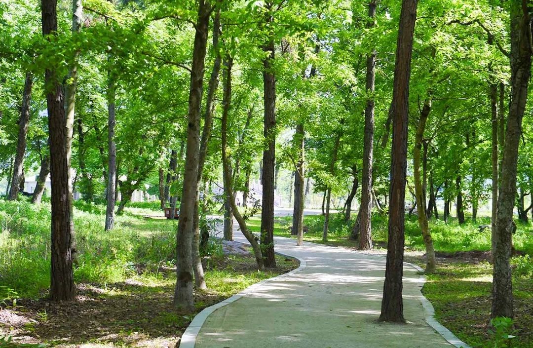 仙居仙景 | 想你的风还是吹到了仙居,“尔滨”老铁们!看仙居给咱整点啥→ 仙居仙景 | 想你的风还是吹到了仙居,“尔滨”老铁们!看仙居给咱整点啥→