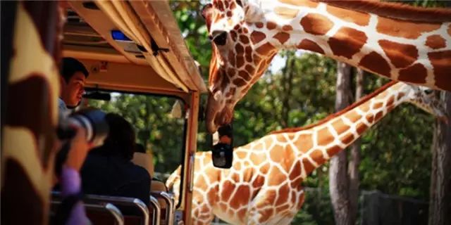 清迈 | 这家开业不久的亲子农庄,太让人动心。 清迈 | 这家开业不久的亲子农庄,太让人动心。