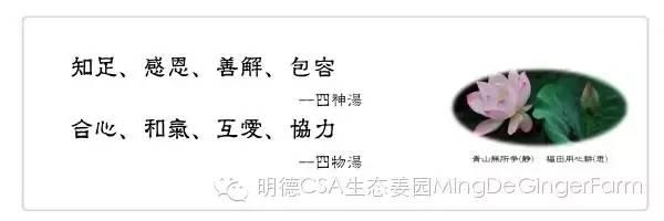 明德生态姜园理念及庄严承诺