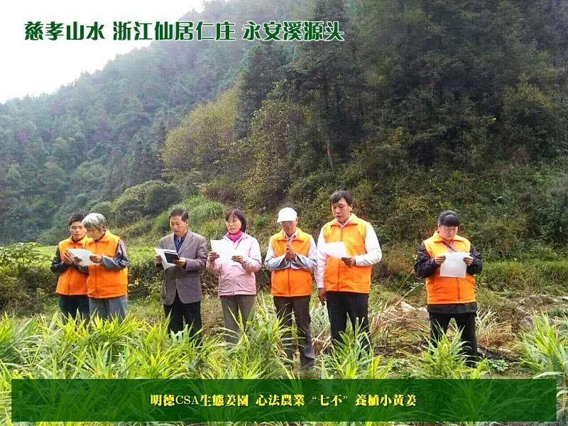 团购包年包邮 特惠特级‘七不’小黄姜干姜片半斤 12包。每月1包 包年包邮 特惠特级‘七不’小黄姜干姜片半斤 12包。每月1包