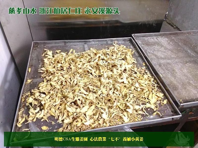 团购包年包邮 特惠特级‘七不’小黄姜干姜片半斤 12包。每月1包 包年包邮 特惠特级‘七不’小黄姜干姜片半斤 12包。每月1包