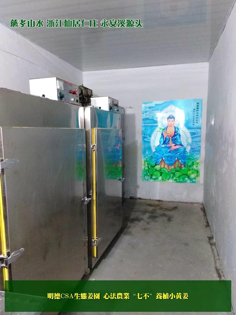 团购包年包邮 特惠特级‘七不’小黄姜干姜片半斤 12包。每月1包 包年包邮 特惠特级‘七不’小黄姜干姜片半斤 12包。每月1包