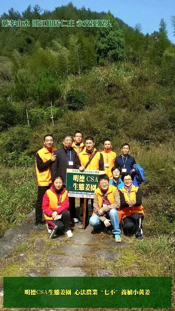 团购包年包邮 特惠特级‘七不’小黄姜干姜片半斤 12包。每月1包 包年包邮 特惠特级‘七不’小黄姜干姜片半斤 12包。每月1包