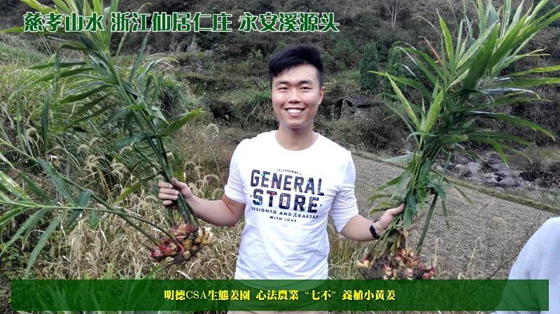 团购包年包邮 特惠特级‘七不’小黄姜干姜片半斤 12包。每月1包 包年包邮 特惠特级‘七不’小黄姜干姜片半斤 12包。每月1包