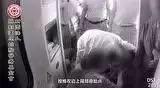 心脏病急救案例(列车上)-2017.9最新案例-七不姜 生姜养生网-明德CSA生态姜园&明安农业