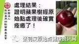 苹果树案例2017-七不姜 生姜养生网-明德CSA生态姜园&明安农业