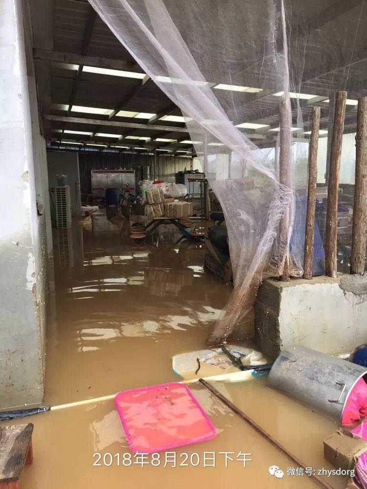 徐州市原始点基地(一方有难,十方支援,急需要家人们来帮忙!) 徐州市原始点基地(一方有难,十方支援,急需要家人们来帮忙!)