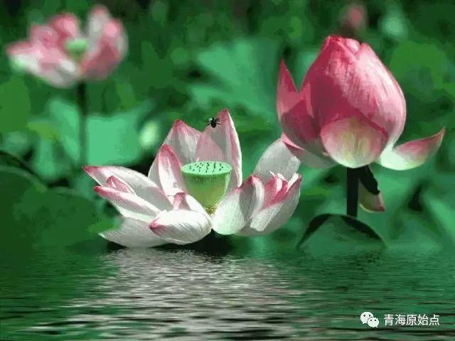 青海原始点第十期公益研习班圆满结束 青海原始点第十期公益研习班圆满结束