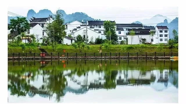 来仙居,我养你啊!- 秀美仙居 慈孝仁庄 明德生态姜园“七不”良心小黄姜发源地-七不姜 生姜养生网-明德CSA生态姜园&明安农业