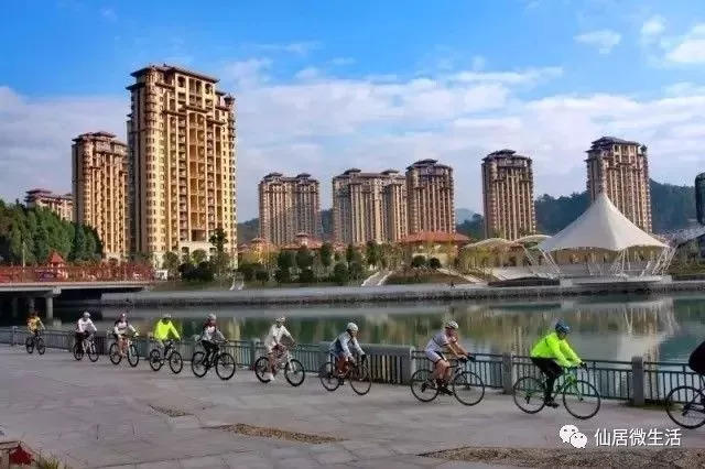 来仙居，我养你啊！- 秀美仙居 慈孝仁庄 明德生态姜园“七不”良心小黄姜发源地
