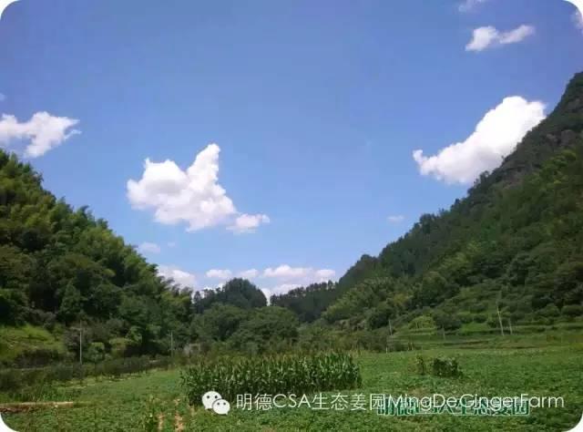 仙居居然把“西藏”私藏了,还有布达拉宫,就在家门口!- 秀美仙居 慈孝仁庄 明德生态姜园“七不”良心小黄姜发源地 仙居居然把“西藏”私藏了,还有布达拉宫,就在家门口!- 秀美仙居 慈孝仁庄 明德生态姜园“七不”良心小黄姜发源地