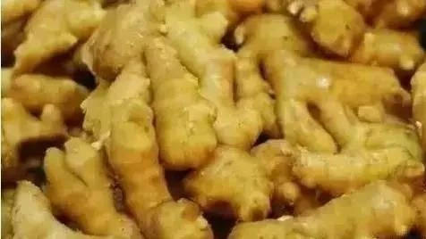 生姜片敷在“肚脐”上，多个奇迹出现了！-七不姜 生姜养生网-明德CSA生态姜园&明安农业