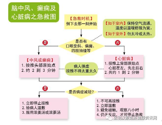 最新原始点急救方法-七不姜 生姜养生网-明德CSA生态姜园&明安农业