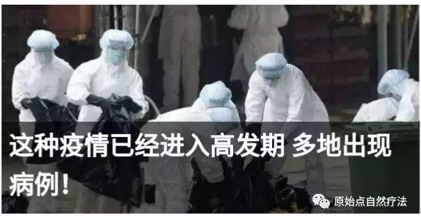 基金会视频：原始点有没有在治细菌病毒如艾博拉, 艾滋, SARS, H7N9...?-七不姜 生姜养生网-明德CSA生态姜园&明安农业