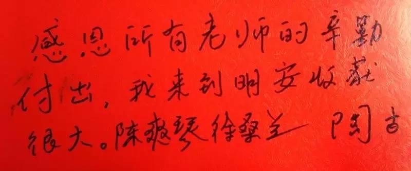 《总有一种力量让我们泪流满面》-明安大家园原始点学习报告