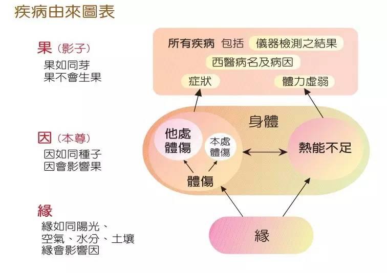 仁心仁术 张钊汉医师传 即原始点研发因缘 仁心仁术 张钊汉医师传 即原始点研发因缘