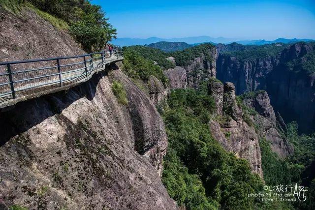 浙江｜秀水古道 人间仙居- 秀美仙居 慈孝仁庄 明德生态姜园“七不”良心小黄姜发源地