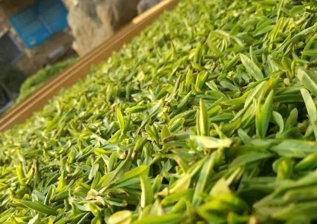 仙居居然把“西藏”私藏了,还有布达拉宫,就在家门口!- 秀美仙居 慈孝仁庄 明德生态姜园“七不”良心小黄姜发源地 仙居居然把“西藏”私藏了,还有布达拉宫,就在家门口!- 秀美仙居 慈孝仁庄 明德生态姜园“七不”良心小黄姜发源地