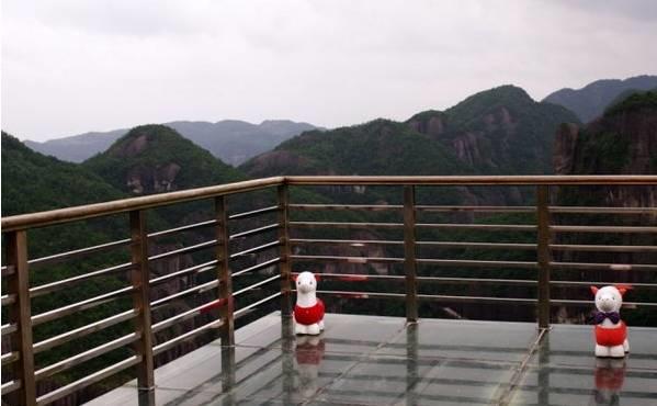 仙居还有这样的风景!你有没有去过？- 秀美仙居 慈孝仁庄 明德生态姜园“七不”良心小黄姜发源地