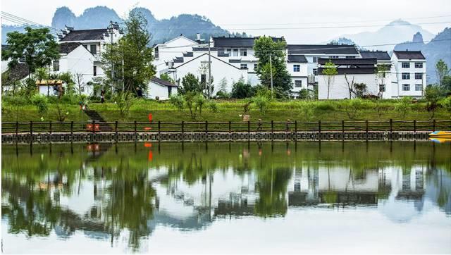 仙居还有这样的风景!你有没有去过？- 秀美仙居 慈孝仁庄 明德生态姜园“七不”良心小黄姜发源地