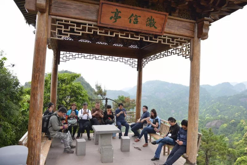 太白梦游处，仙居诗意浓 | 美丽中国行 - 秀美仙居 慈孝仁庄 明德生态姜园“七不”良心小黄姜发源地