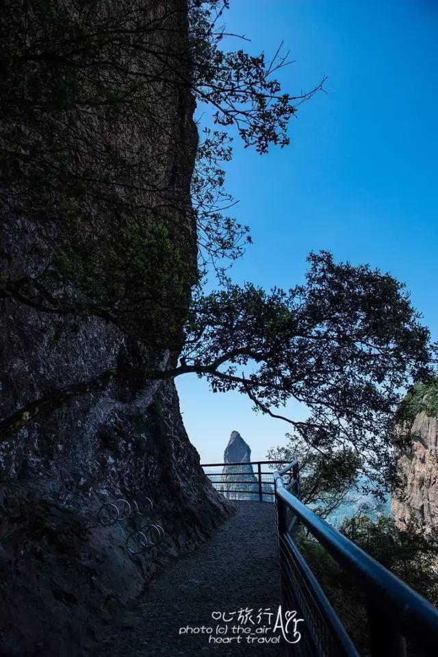 浙江｜秀水古道 人间仙居- 秀美仙居 慈孝仁庄 明德生态姜园“七不”良心小黄姜发源地