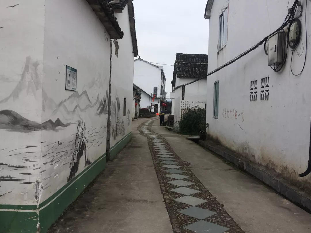 来仙居，我养你啊！- 秀美仙居 慈孝仁庄 明德生态姜园“七不”良心小黄姜发源地