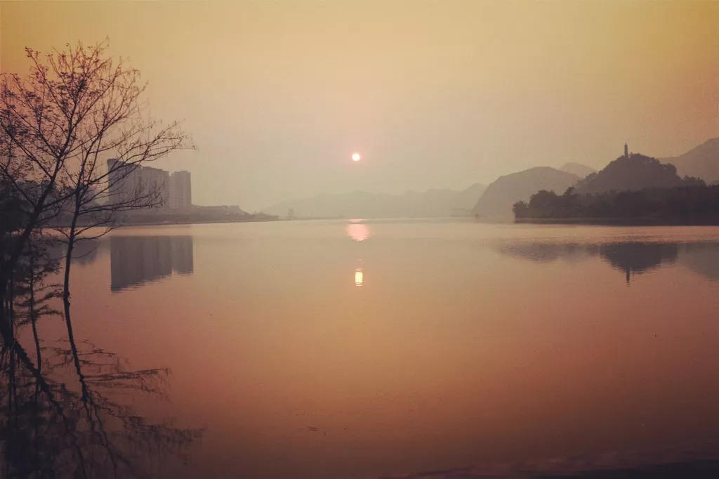 来仙居，我养你啊！- 秀美仙居 慈孝仁庄 明德生态姜园“七不”良心小黄姜发源地