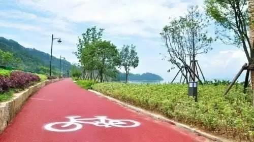 仙居还有这样的风景!你有没有去过？- 秀美仙居 慈孝仁庄 明德生态姜园“七不”良心小黄姜发源地