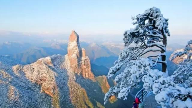 仙居还有这样的风景!你有没有去过？- 秀美仙居 慈孝仁庄 明德生态姜园“七不”良心小黄姜发源地