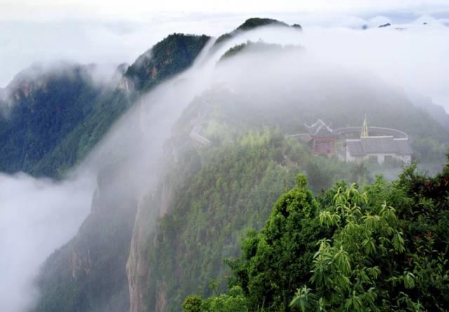 仙居还有这样的风景!你有没有去过？- 秀美仙居 慈孝仁庄 明德生态姜园“七不”良心小黄姜发源地