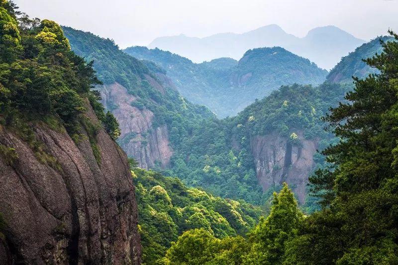 太白梦游处，仙居诗意浓 | 美丽中国行 - 秀美仙居 慈孝仁庄 明德生态姜园“七不”良心小黄姜发源地