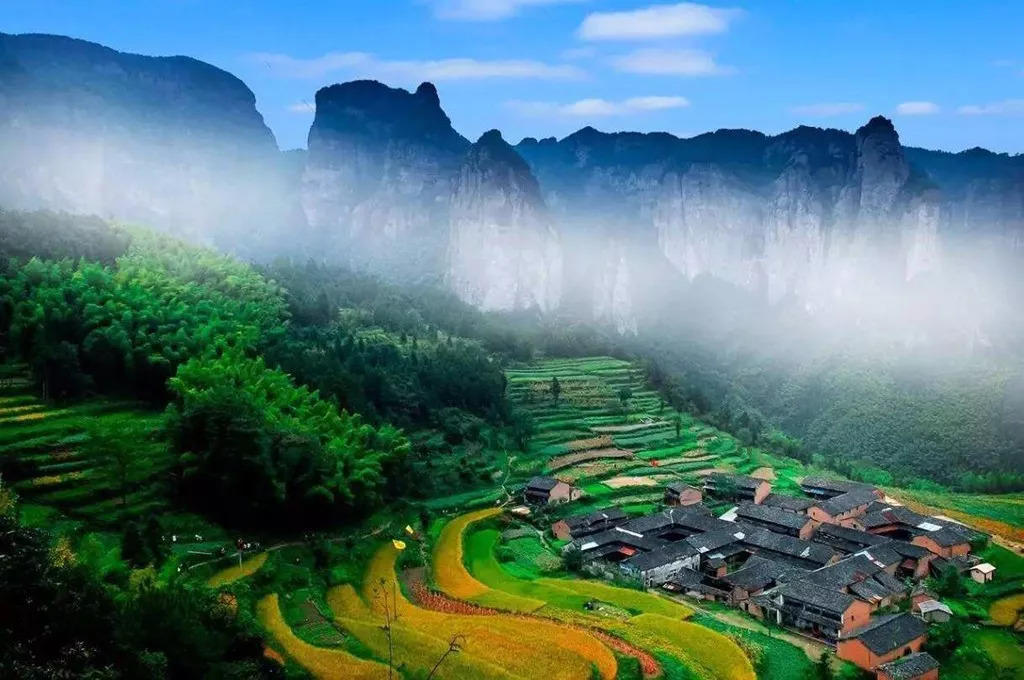 来仙居，我养你啊！- 秀美仙居 慈孝仁庄 明德生态姜园“七不”良心小黄姜发源地