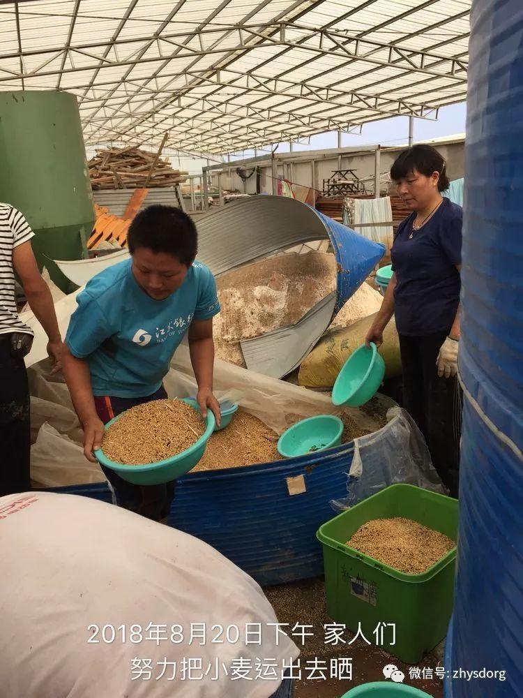 徐州市原始点基地(一方有难,十方支援,急需要家人们来帮忙!) 徐州市原始点基地(一方有难,十方支援,急需要家人们来帮忙!)