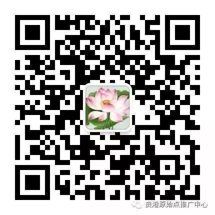 推广使用原始点调理红斑狼疮的体会