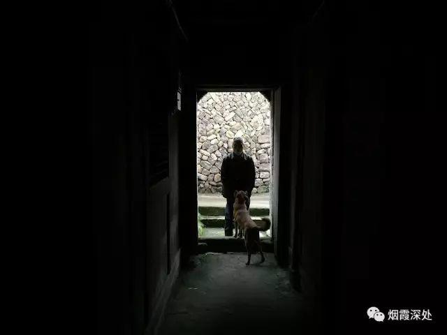 传统村落--溪港乡仁庄村（古村行013）- 秀美仙居 慈孝仁庄 明德生态姜园“七不”良心小黄姜发源地