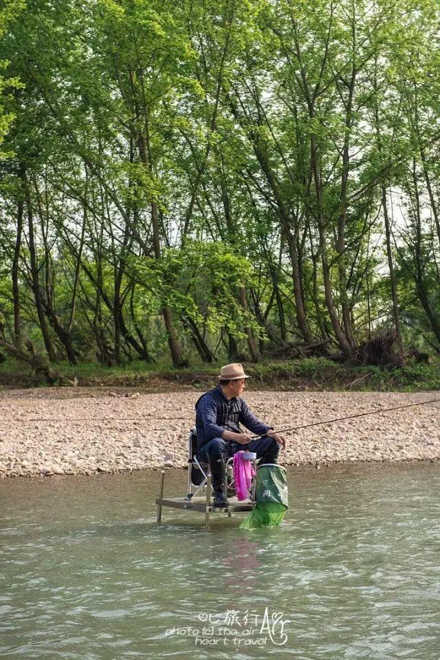 浙江｜秀水古道 人间仙居- 秀美仙居 慈孝仁庄 明德生态姜园“七不”良心小黄姜发源地