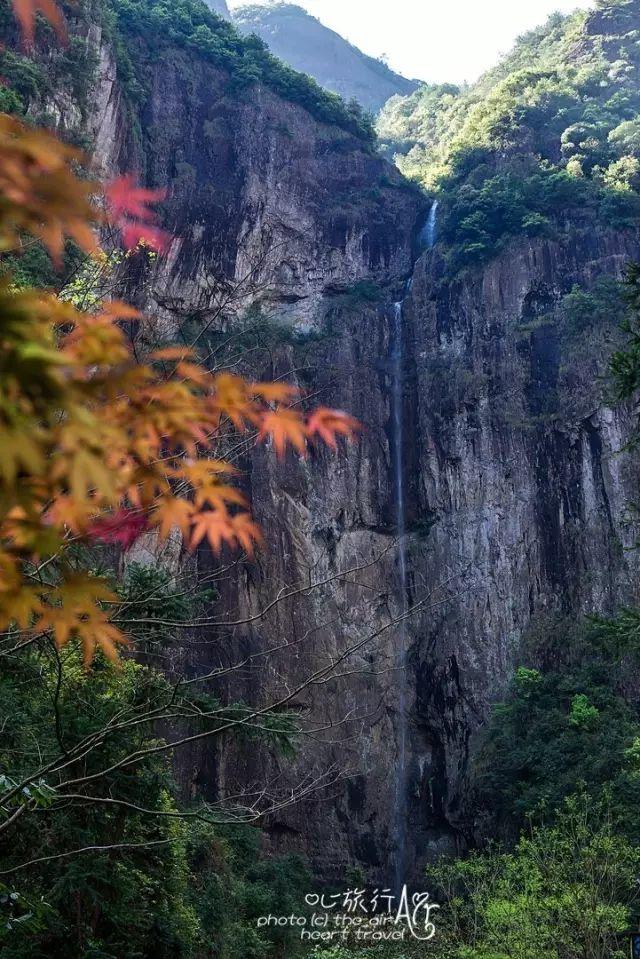 浙江｜秀水古道 人间仙居- 秀美仙居 慈孝仁庄 明德生态姜园“七不”良心小黄姜发源地