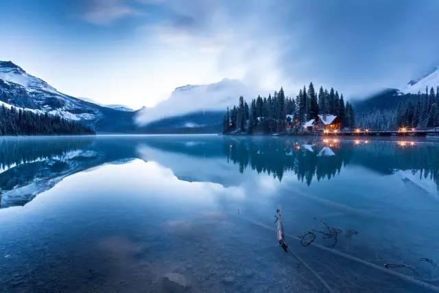 仙居还有这样的风景!你有没有去过？- 秀美仙居 慈孝仁庄 明德生态姜园“七不”良心小黄姜发源地