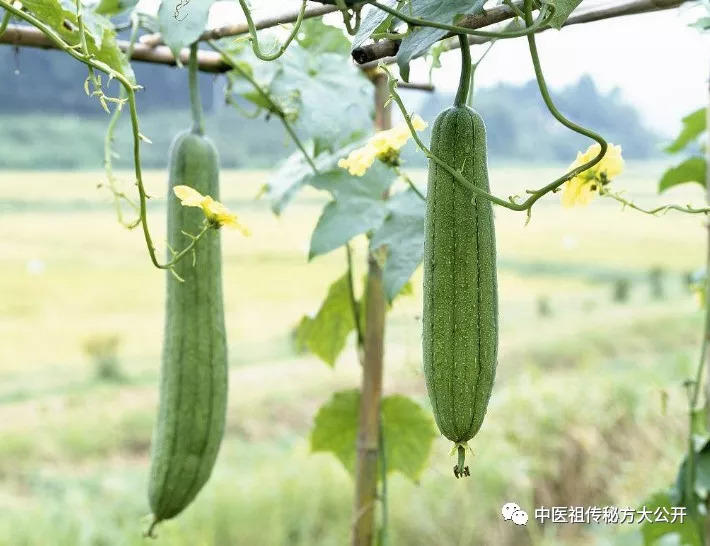 生姜这么有用，你知道吗？