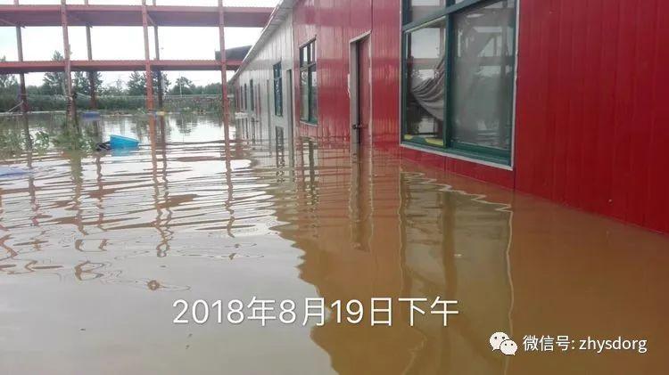 徐州市原始点基地(一方有难,十方支援,急需要家人们来帮忙!) 徐州市原始点基地(一方有难,十方支援,急需要家人们来帮忙!)