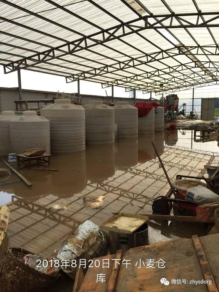 徐州市原始点基地(一方有难,十方支援,急需要家人们来帮忙!) 徐州市原始点基地(一方有难,十方支援,急需要家人们来帮忙!)